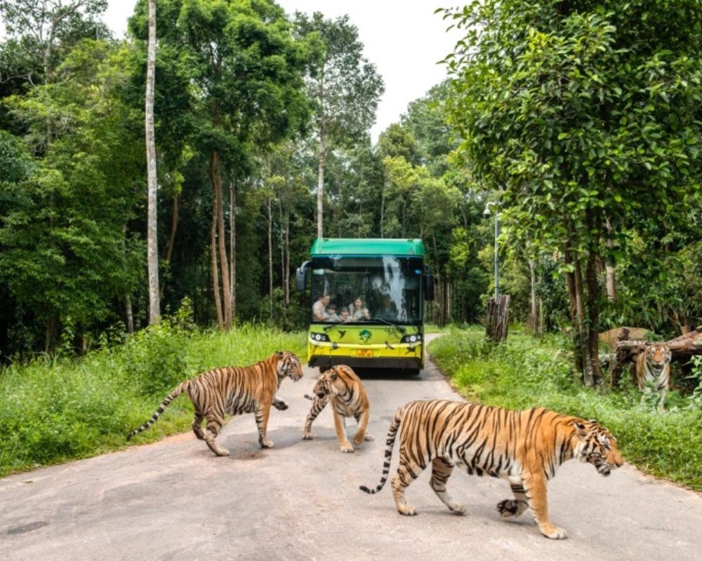 what to do in Phu Quoc